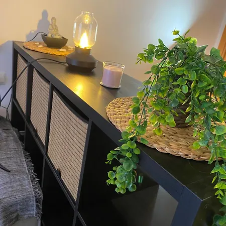 Estudio Playa מאלגה